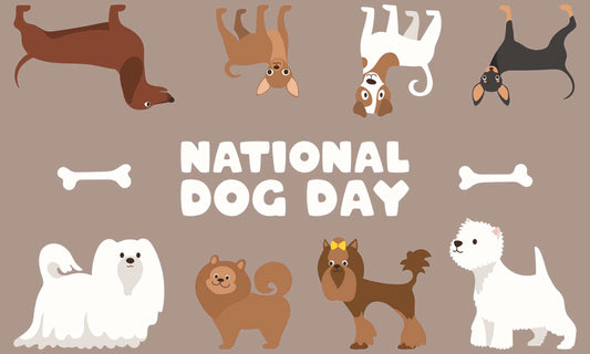 Illustration of various dog breeds celebrating National Dog Day with bones on a beige background.