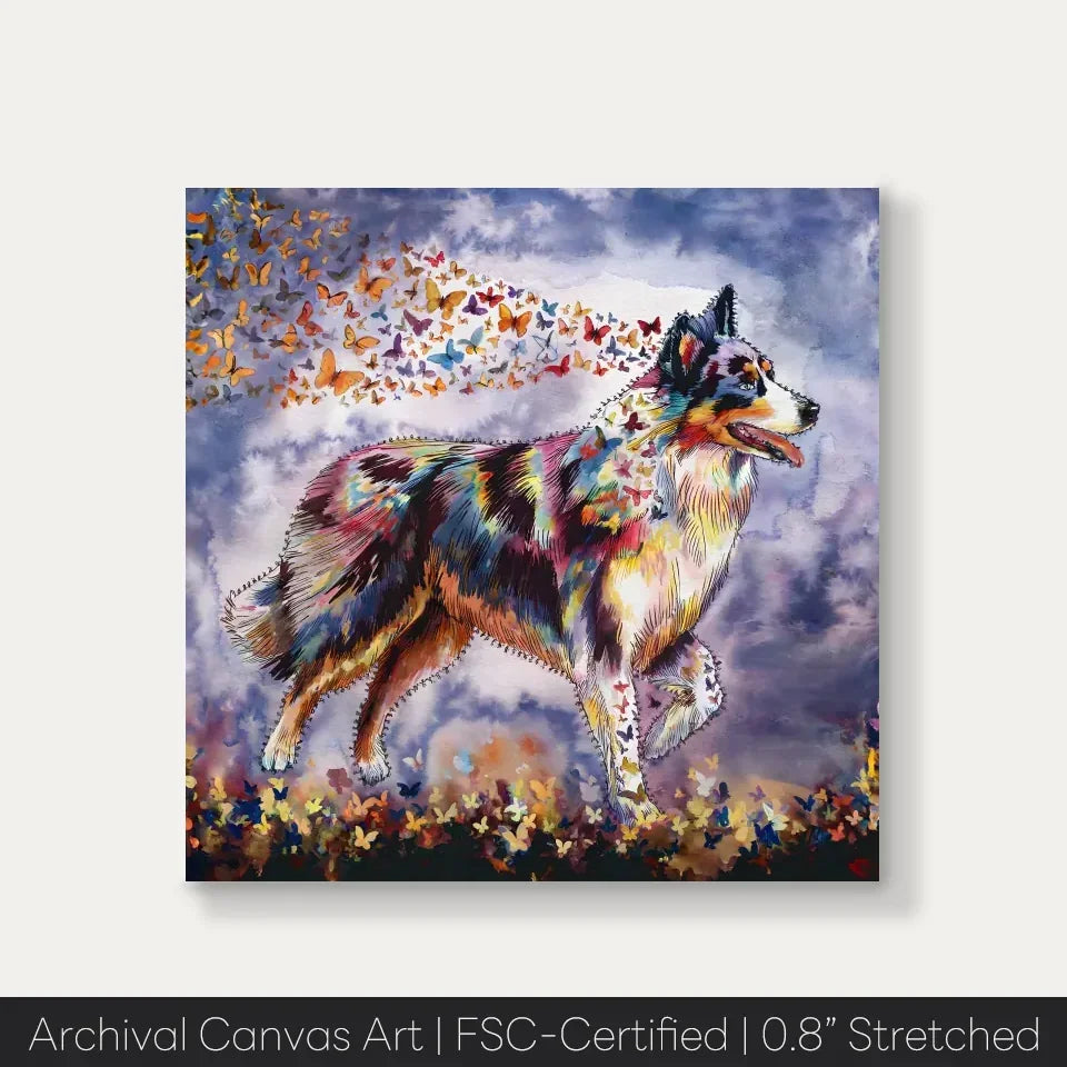 Australian Shepherd watercolor canvas from Wings of Life Series with butterflies, showcasing intelligence and vibrant energy.