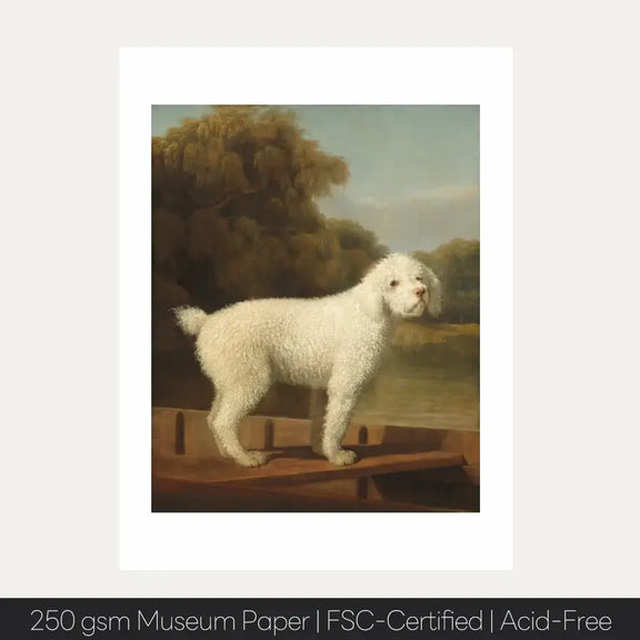 Victorian art print of a white poodle on a boat, showcasing elegance and charm, printed on 250 gsm museum-quality paper.