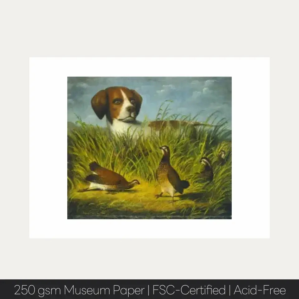 1854 art print of a hunting dog focused on pheasants, showcasing instincts and training on museum-quality paper.