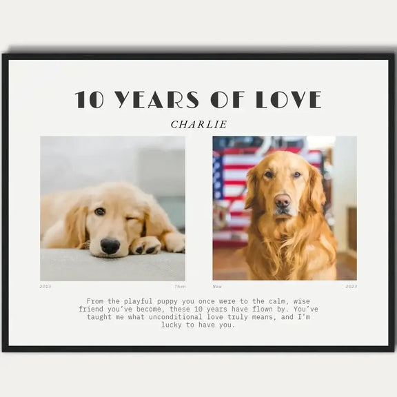 Personalized pet 10th birthday gift with photos and heartfelt message celebrating a decade of love for your dog or cat.