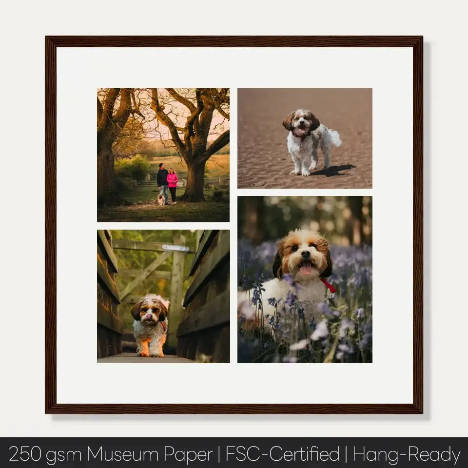 Pet Memory Collage Frame displaying joyful moments of a dog in nature, crafted on 250 gsm museum paper, FSC-certified, hang-ready.