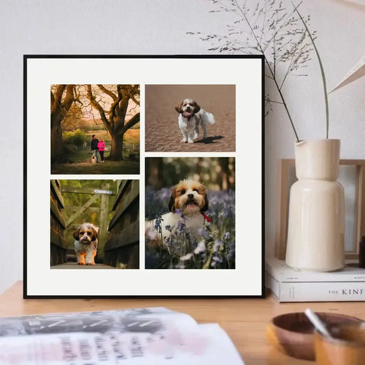 "Pet Memory Collage Frame showcasing joyful moments with a dog, featuring nature walks and playful scenes."