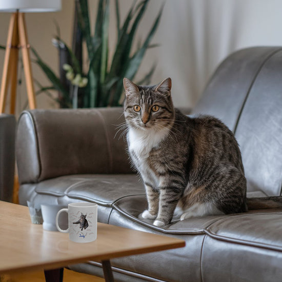 Tabby cat sitting on a gray leather couch next to a coffee table with a cat-themed mug, indoor plant in the background.