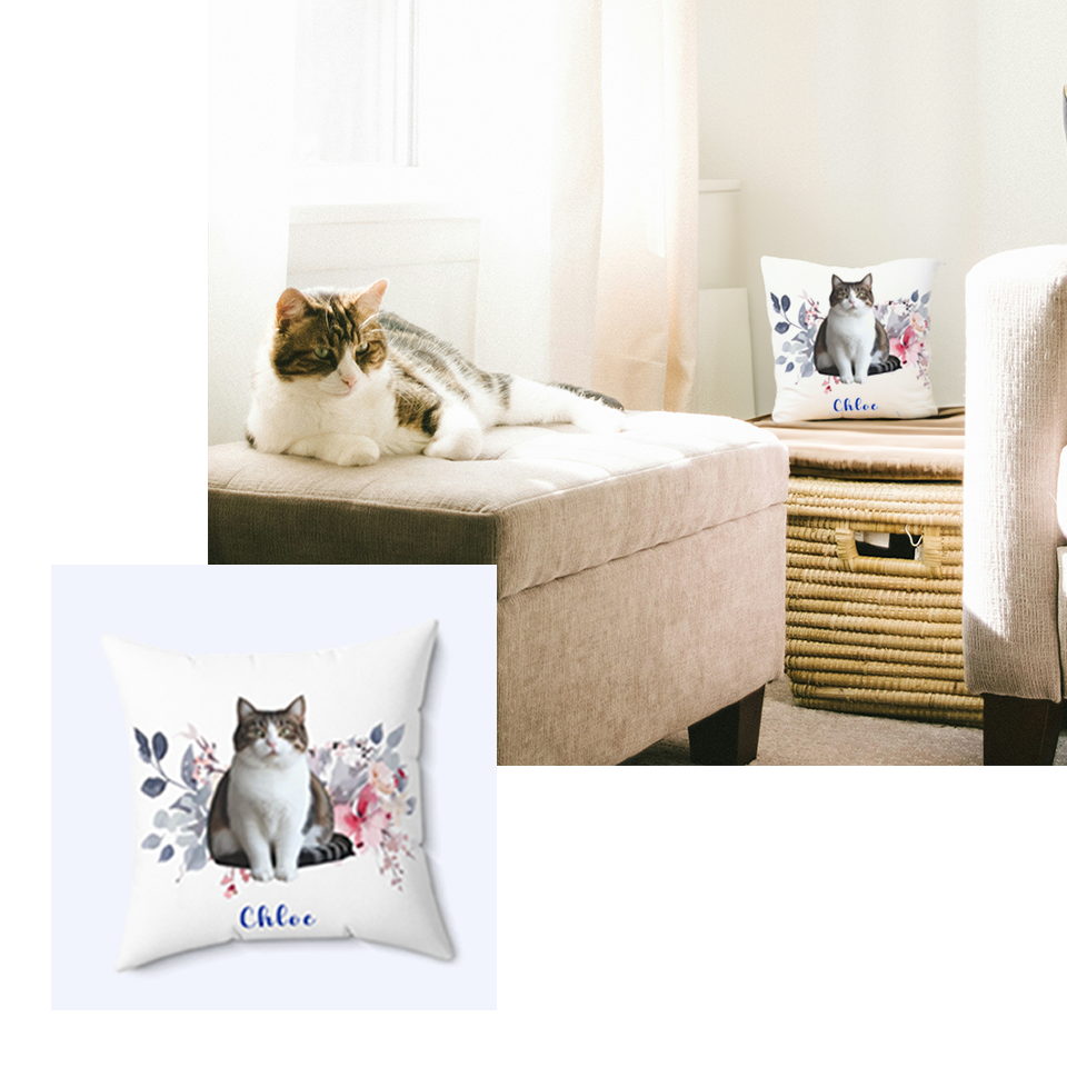 A cat lounges on the sofa, with a personalized pillow featuring its photo in the background, adding a touch of warmth to the room.