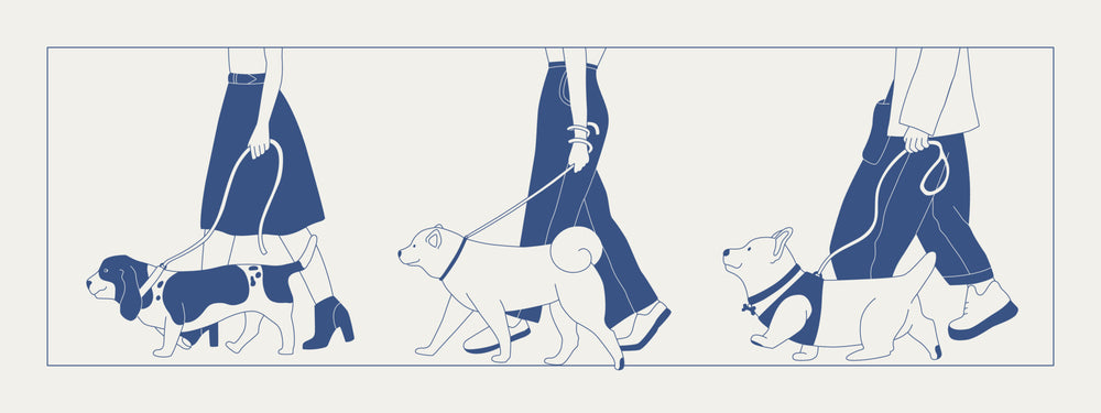 Illustration of people walking different dog breeds on leashes, showcasing pet care and outdoor activity.