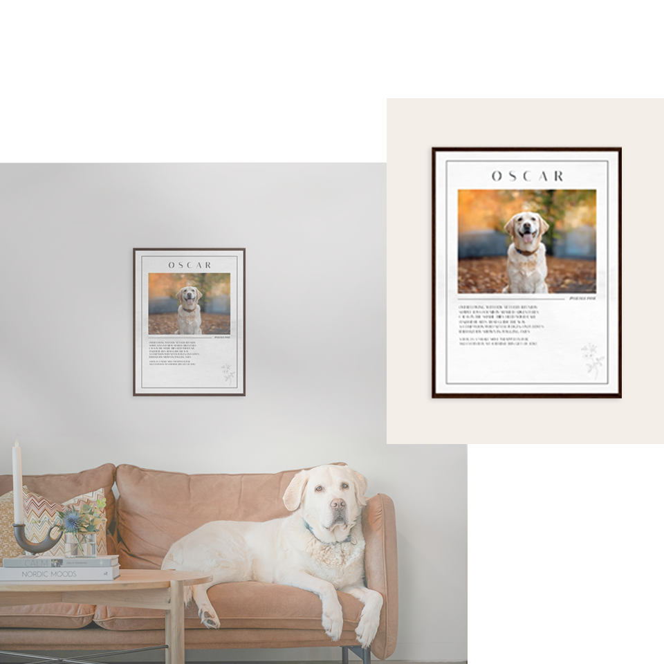 A yellow Labrador lies on the sofa, with a custom name poem frame on the wall, combining the pet’s name, poem, and photo in an elegant design.