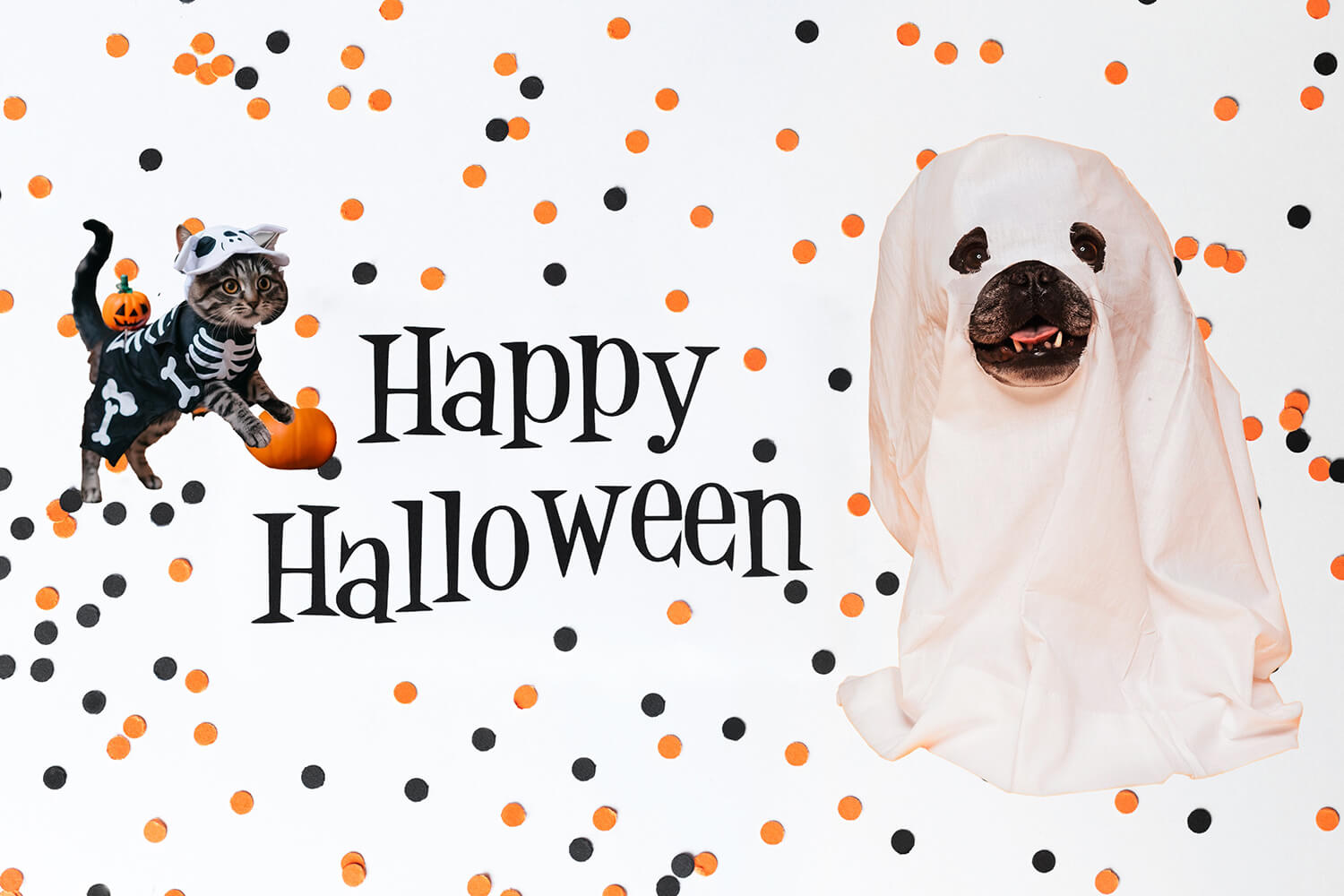 "Cat and dog in Halloween costumes with confetti and 'Happy Halloween' text"